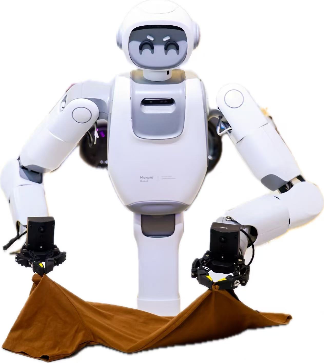 Morphi Robot